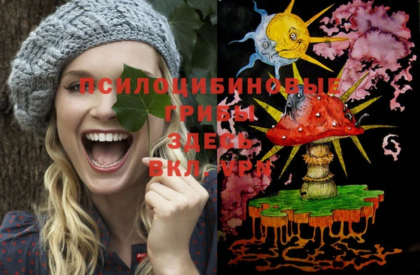 Альфа ПВП Беломорск