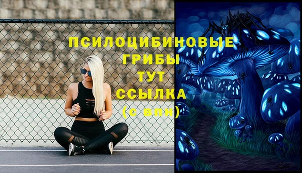 твердый Баксан