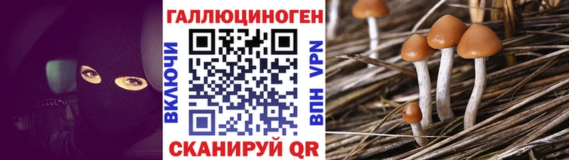 Галлюциногенные грибы мицелий  ссылка на мегу зеркало  Колпашево 