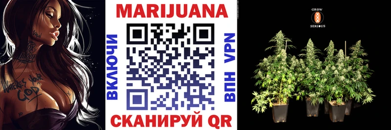 Каннабис OG Kush  Колпашево 